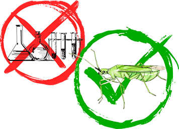 Макролофус защитит урожай без химии!